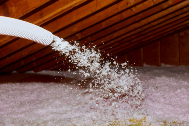 Best Cellulose Insulation  in North Catasauqua, PA