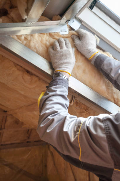 Best Insulation Contractors for Homes  in North Catasauqua, PA