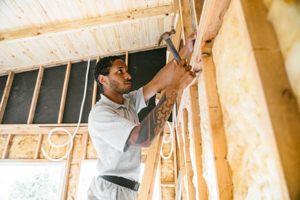 Best Wall Insulation Contractor  in North Catasauqua, PA