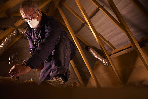 Best Attic Insulation Installation  in North Catasauqua, PA