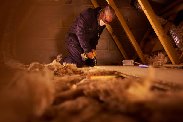 Insulation Repair Services in North Catasauqua, PA